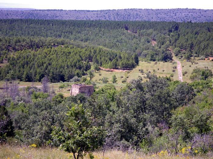 Fraguas fue abandonado en los años 60 por la expropiación de las tierras