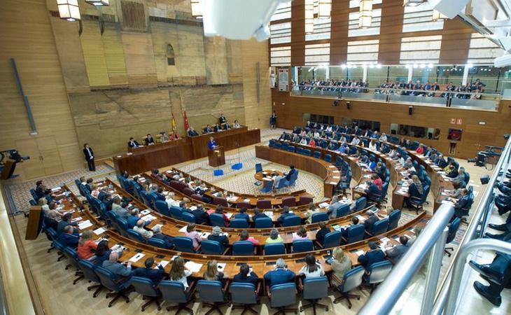 La Asamblea de Madrid prohibió por ley el sacrificio de animales en las perreras municipales