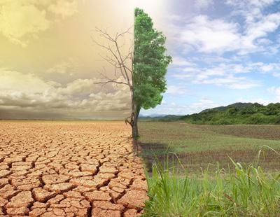 La mitad de la humanidad enfrentará olas de calor letales en 2100