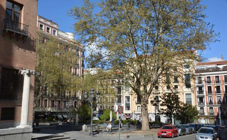 La agresión se registró en plena Plaza del Rey