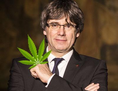 Cataluña elabora una ley para regular el cultivo, consumo y tráfico de cannabis