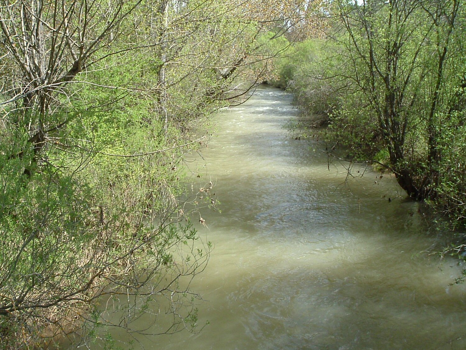 Encuentran el cuerpo de un niño de 11 años desaparecido en el río Júcar en Alzira