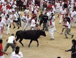 Un toro se parte un cuerno durante un peligroso encierro en Sanfermines