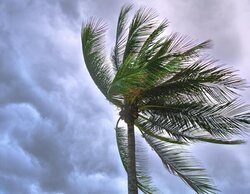 Llega la tormenta subtropical Patty a España: la AEMET pone en alerta estas zonas