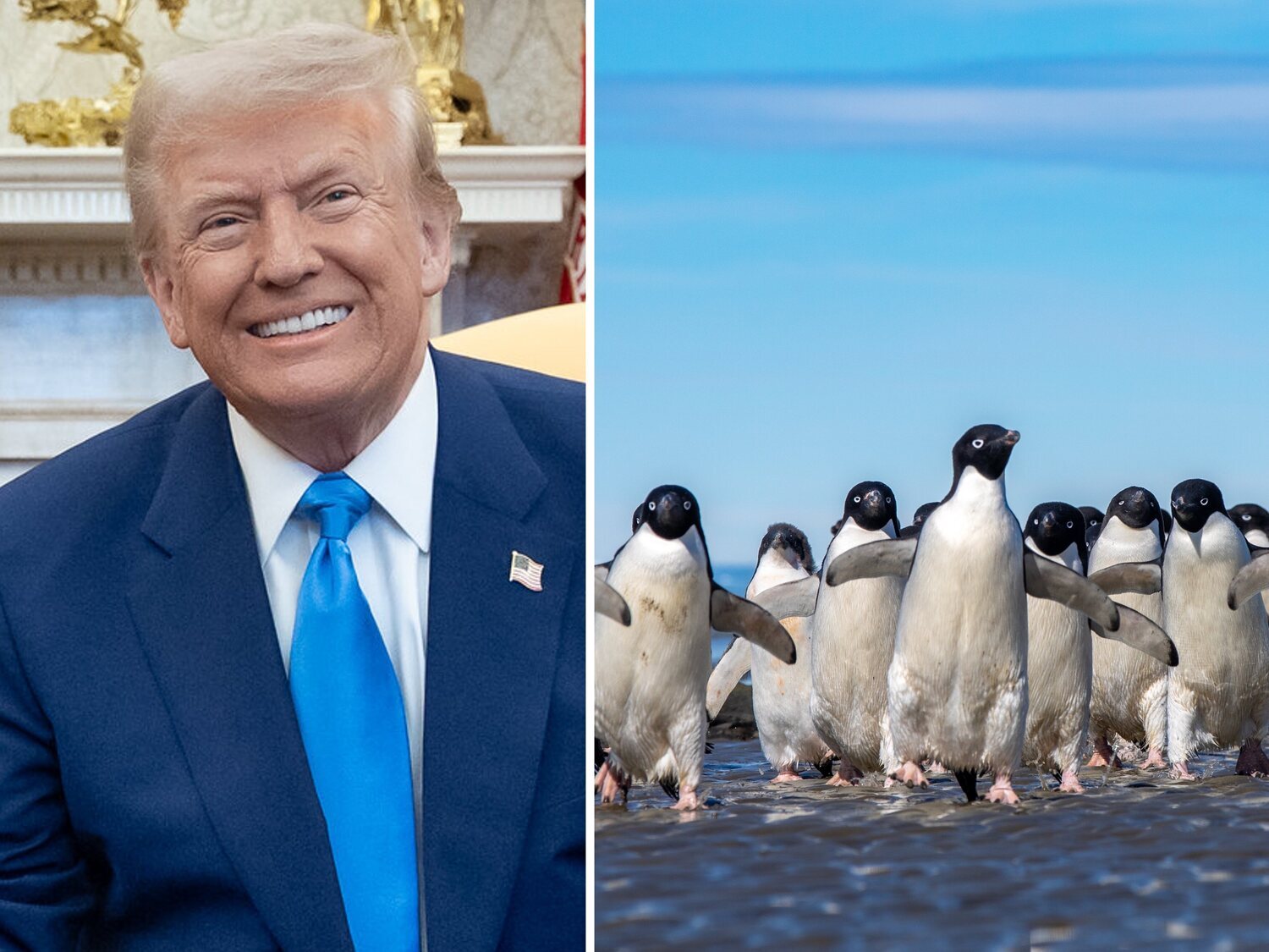 Trump pone aranceles a las islas Heard y McDonald: solo viven pingüinos