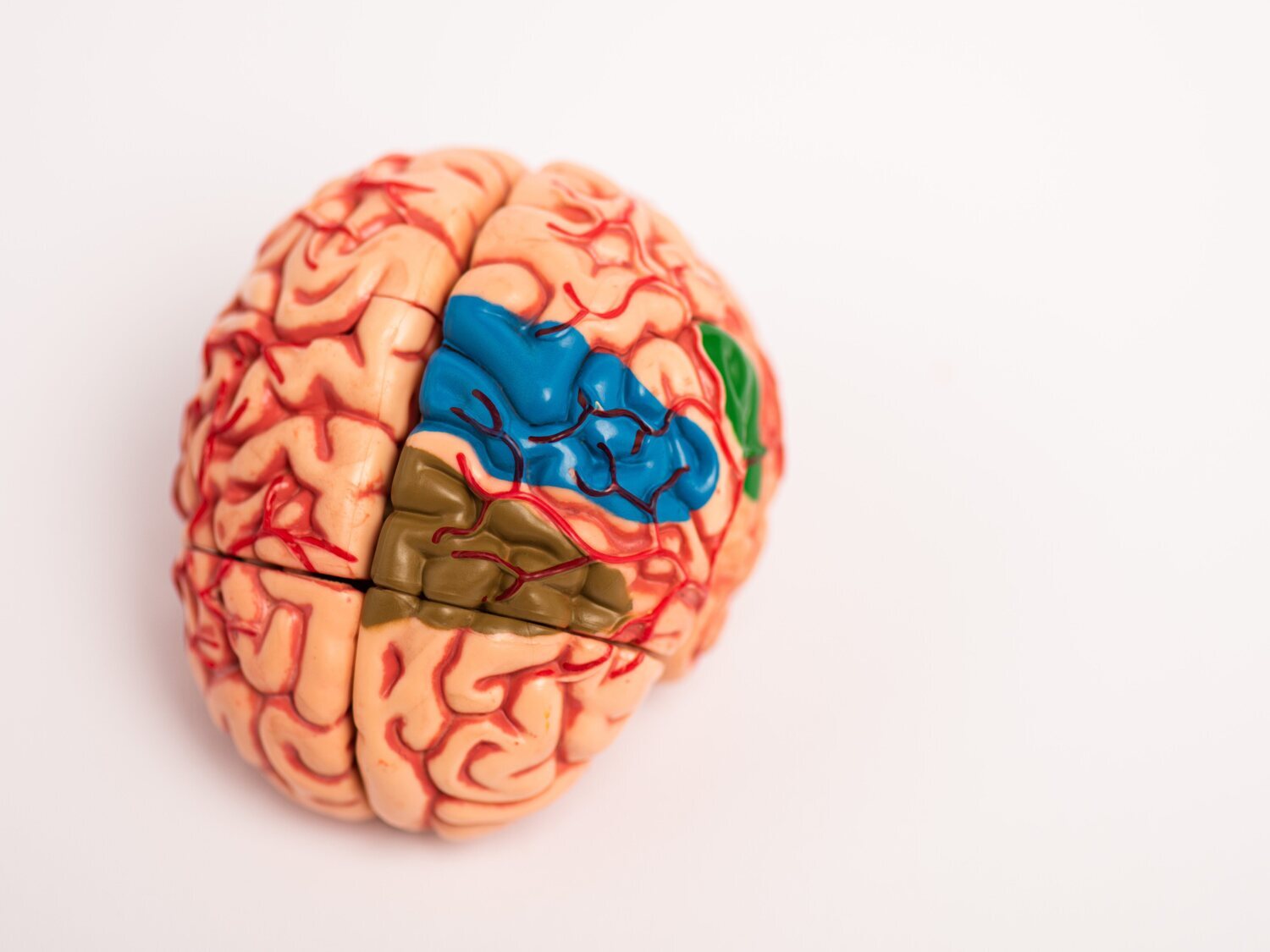 La herencia de la inteligencia: la ciencia determina de qué progenitor proviene