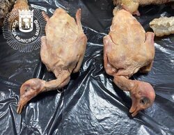 Cierran un restaurante en Usera con comida podrida y cucarachas: lideraba en reseñas