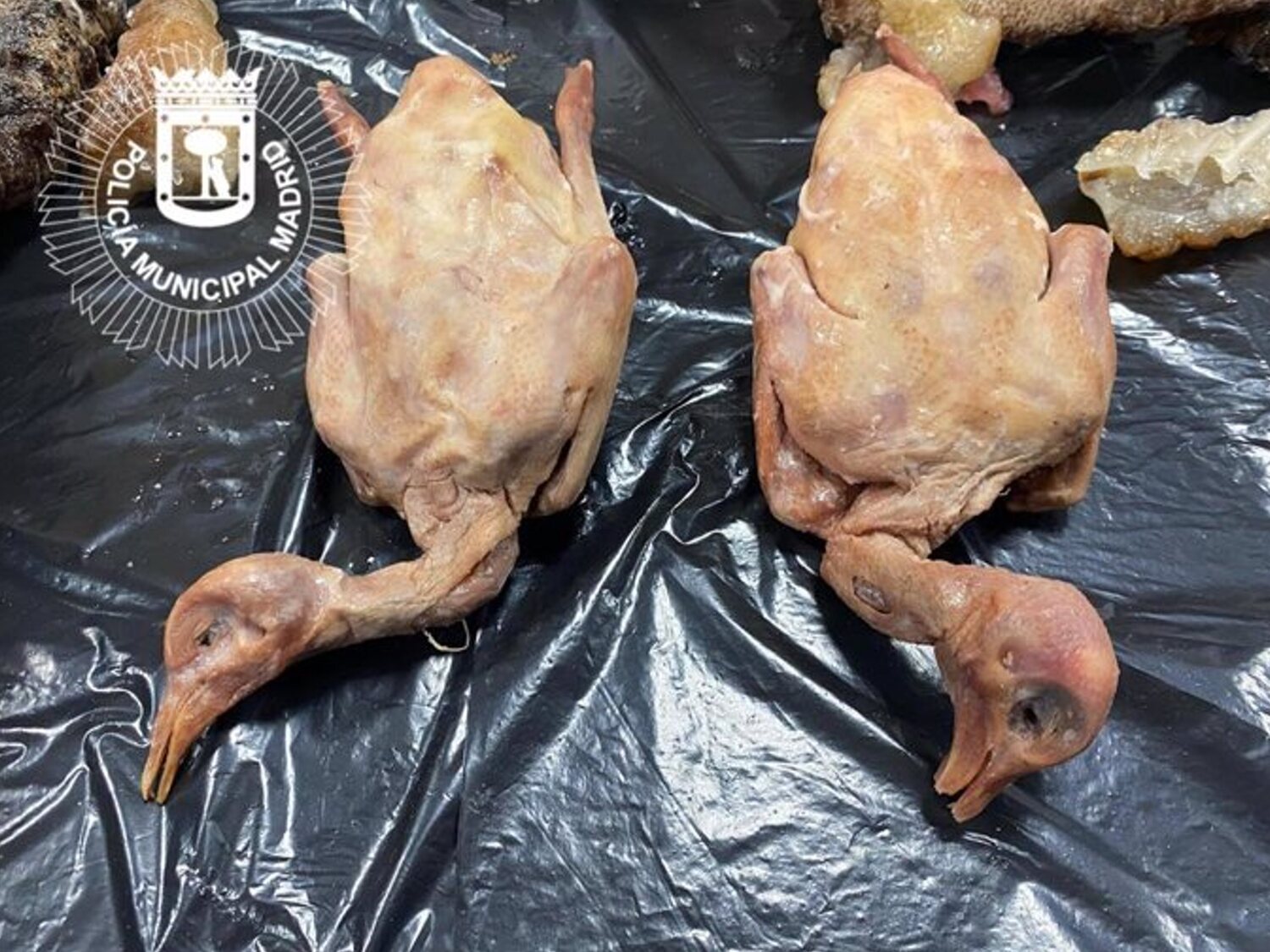 Cierran un restaurante en Usera con comida podrida y cucarachas: lideraba en reseñas