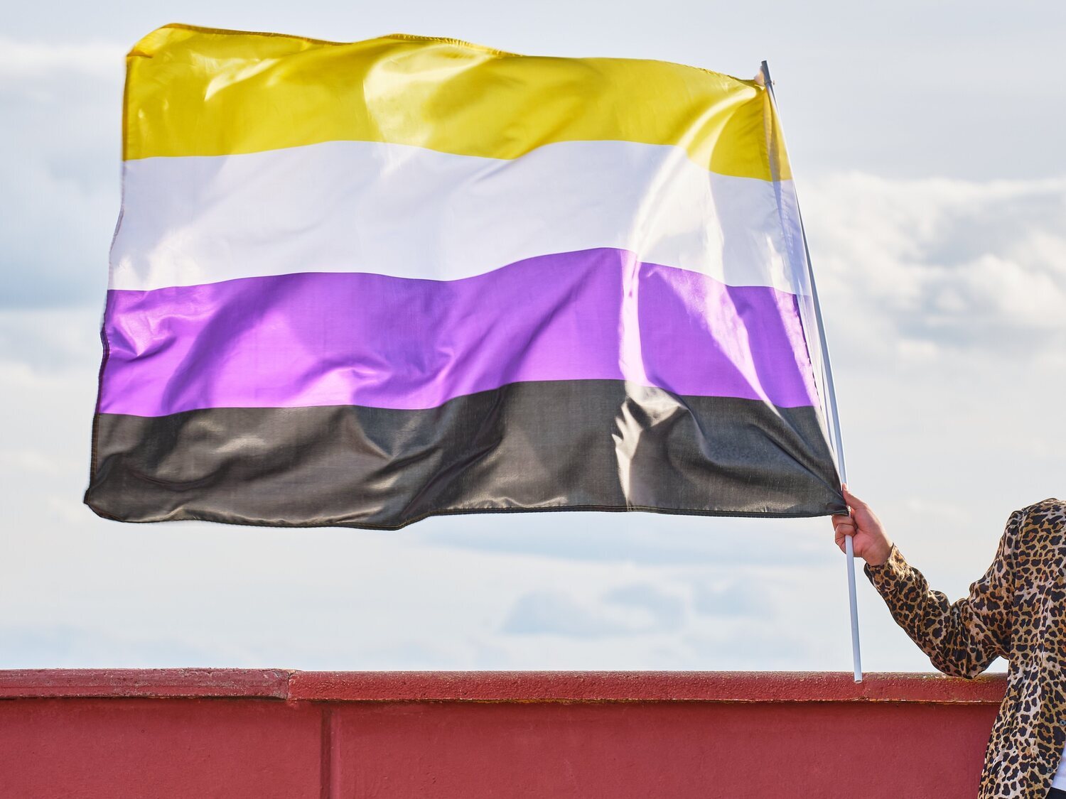 Sumar impulsa una ley que reconoce los derechos de personas intersexuales y no binarias
