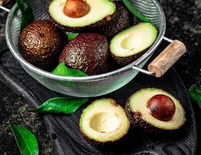 ¿Sabías cómo se llama el árbol que da el aguacate? Este es su verdadero nombre