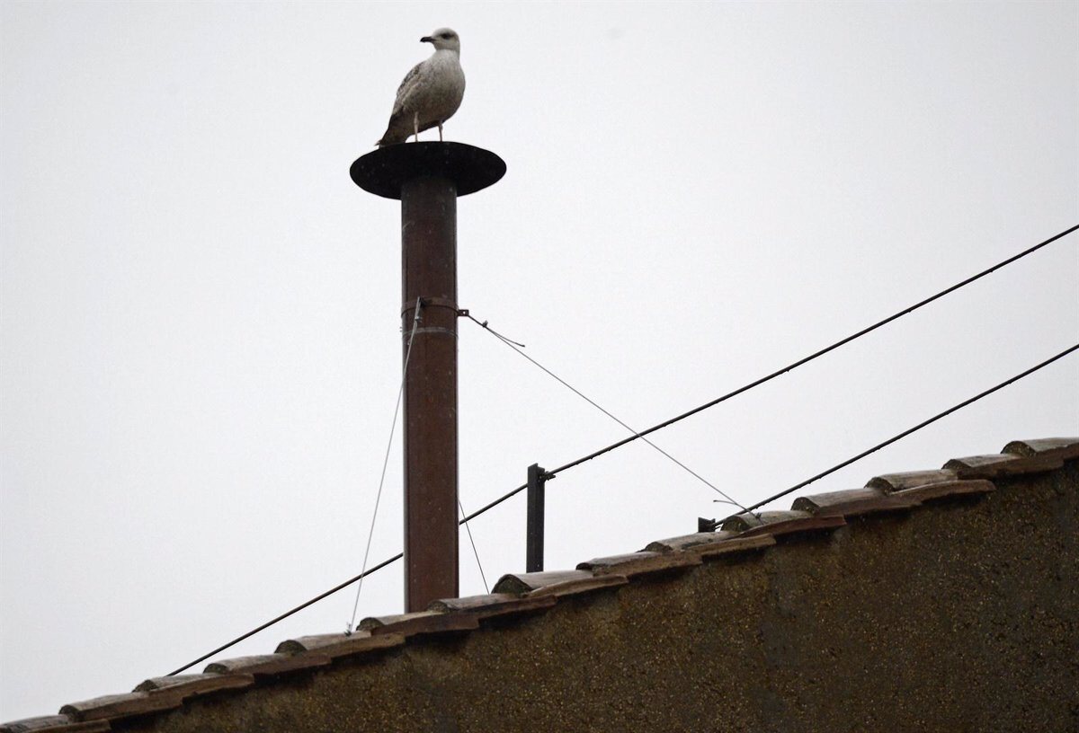 Todos pendientes de la chimenea de la Capilla Sixtina. Si hay fumata blanca antes de las 18:00 habrá nuevo Papa. Si no, no habrá fumata y se ...