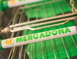 Mercadona confirma cuándo vuelve su versión del chocolate Dubái a sus supermercados