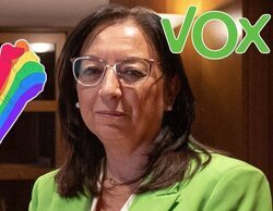 VOX pide "no llevar niños al centro de Castellón" para que no vean el Orgullo LGTBIQ+