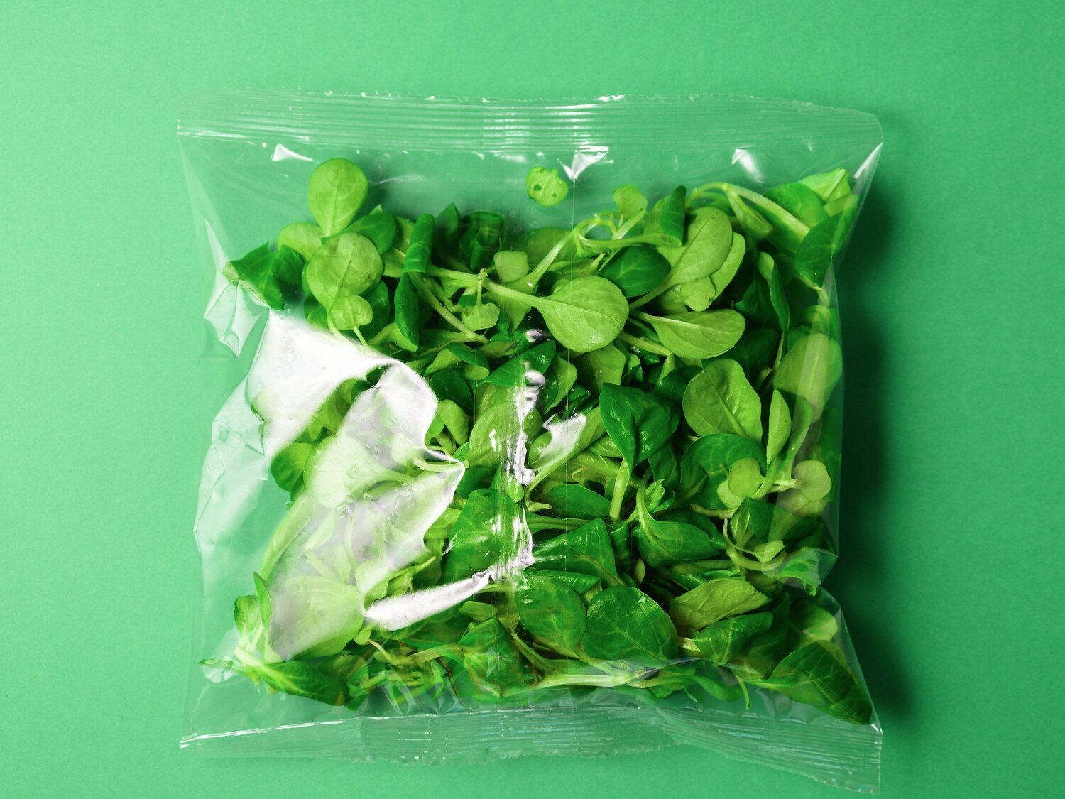 Alerta alimentaria: detectan ensaladas contaminadas con parásitos en los supermercados