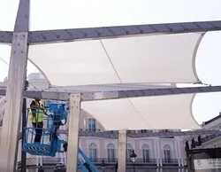 Cuando el PP defendía plantar árboles en Sol en pleno 15-M: ahora niega que sea posible