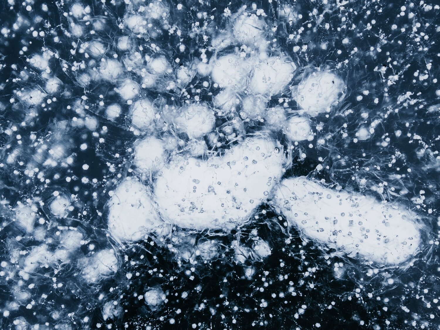 Hallan un gen expandiéndose en todo el mundo que transforma a las bacterias en incurables