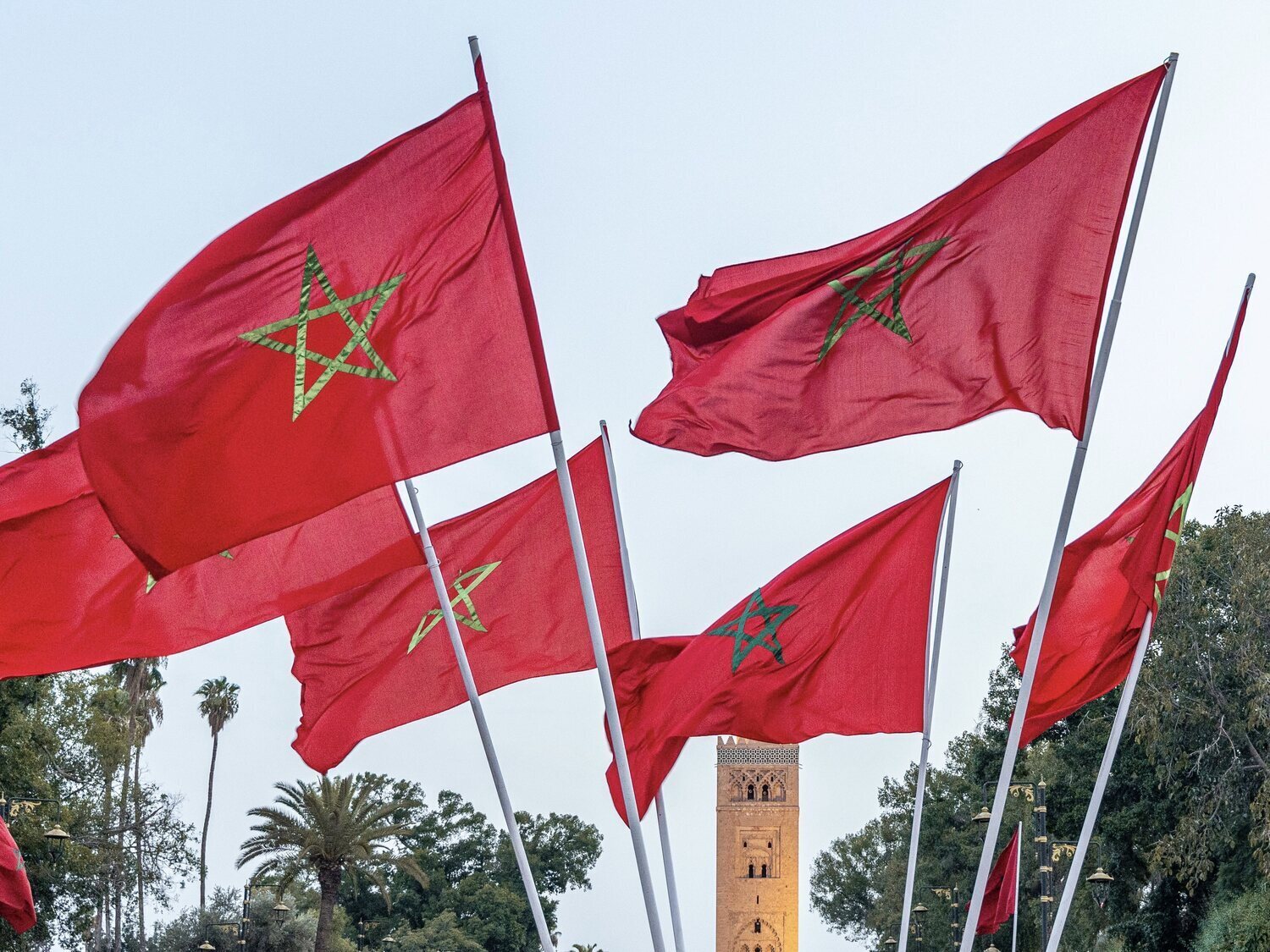 El producto que más vende España a Marruecos: todos los beneficios que reporta