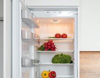 Cómo descongelar alimentos de forma segura y sin electricidad: los pasos a seguir