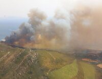 Por qué hay un incendio en Tarifa: gran destrucción en Cádiz y 1.500 desalojados