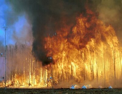 España devastada: los héroes que han perdido la vida en los incendios