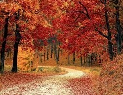 ¿Frío, calor o lluvia? El sorprendente pronóstico de la AEMET para el otoño en 2025