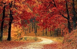 ¿Frío, calor o lluvia? El sorprendente pronóstico de la AEMET para el otoño en 2025