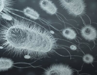 Alerta sanitaria por un brote de vibriosis: cinco muertos y decenas de afectados