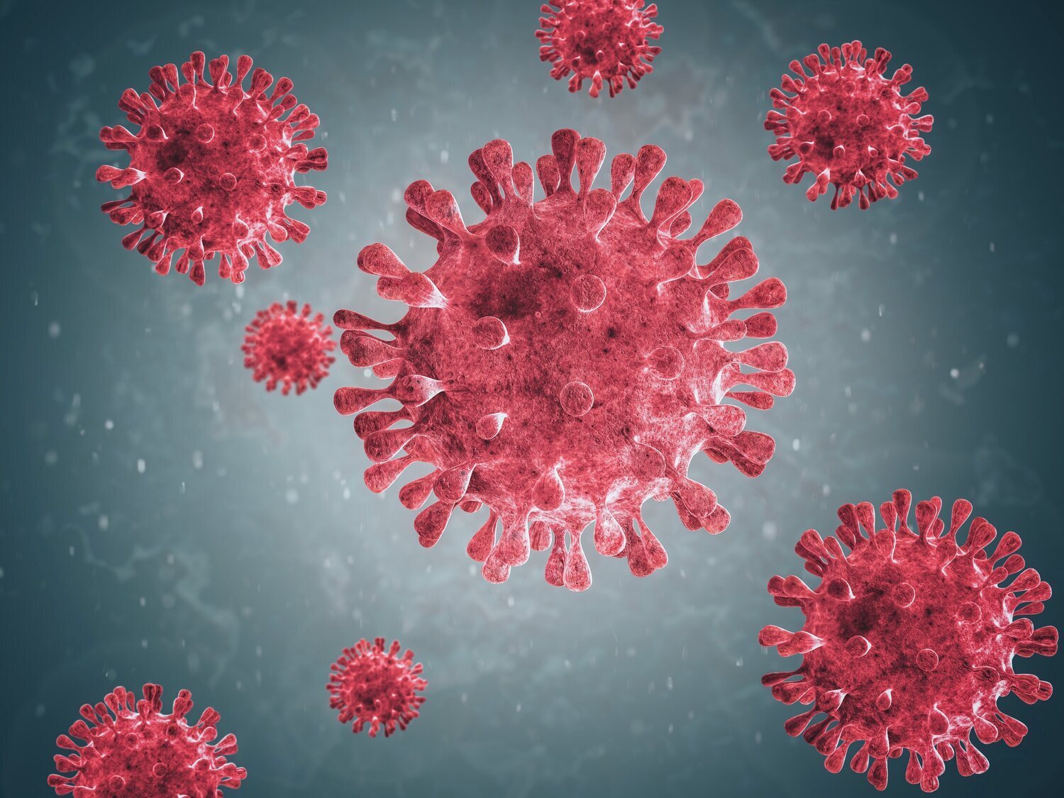 Qué es Stratus: la nueva variante de Covid-19 que preocupa a la OMS en otoño 2025