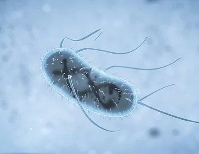 La IA es capaz de crear virus que matan bacterias