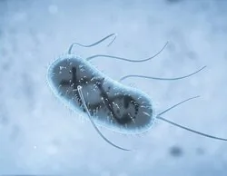 La IA es capaz de crear virus que matan bacterias