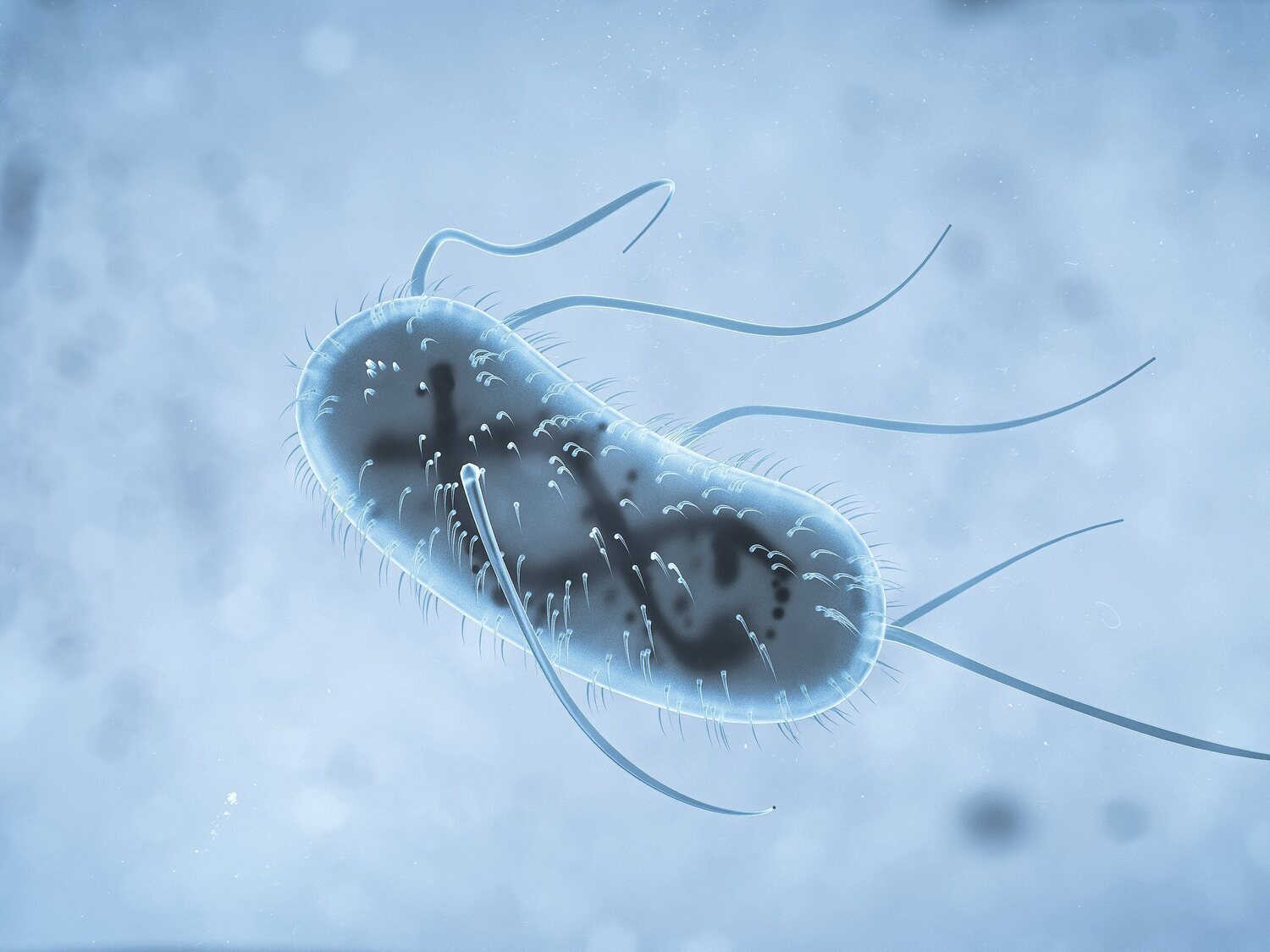 La IA es capaz de crear virus que matan bacterias
