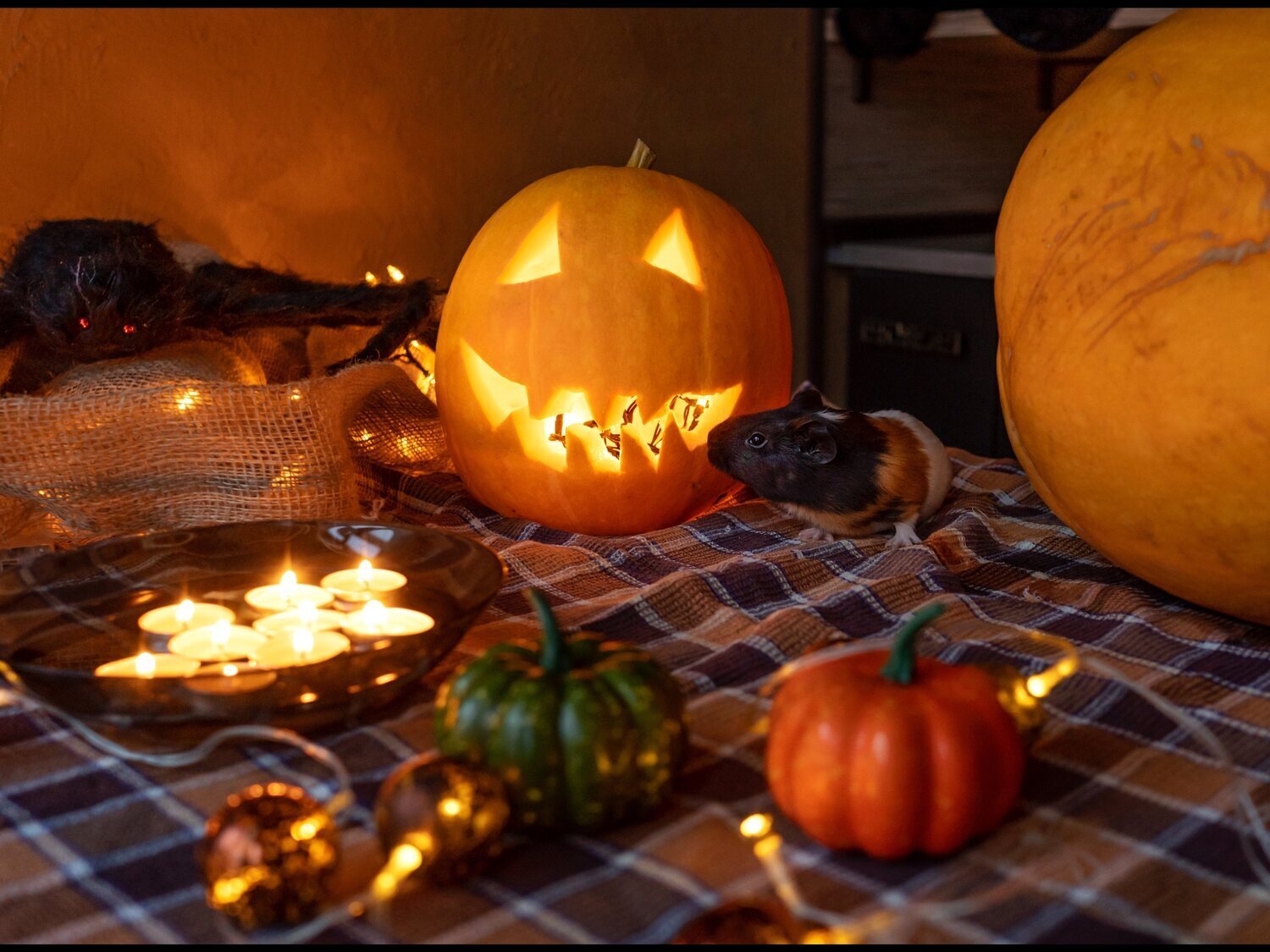 Qué es Samaín: una tradición relacionada con el origen de Halloween y con España