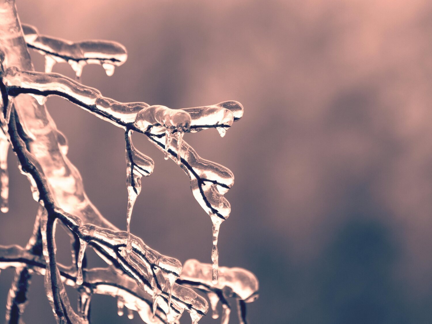 Adiós al calor: AEMET alerta de una intensa ola de frío polar en pleno Madrid