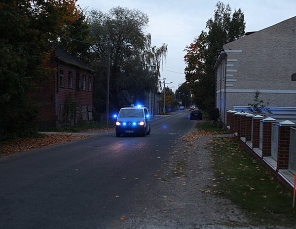 Mata a su madre con un martillo y después sale gritando por el bosque: "¡Mamá!"