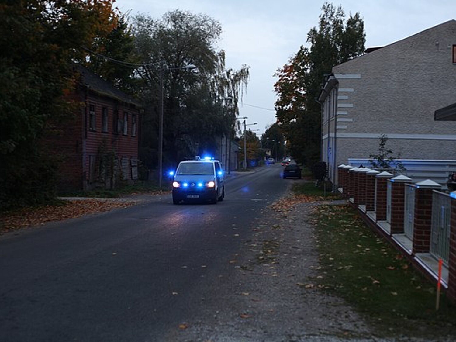 Mata a su madre con un martillo y después sale gritando por el bosque: "¡Mamá!"