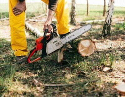 Encuentran a un hombre con los genitales amputados con una podadora eléctrica en León