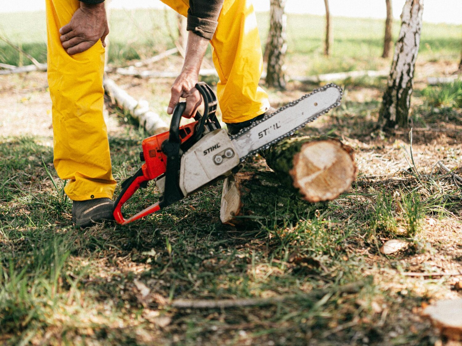 Encuentran a un hombre con los genitales amputados con una podadora eléctrica en León