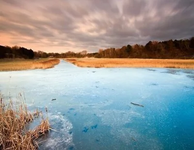 AEMET avisa de la llegada de "una ola de frío ártico que congelará España"