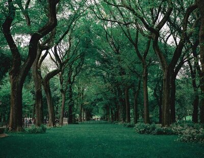 Sale a la luz la causa de la muerte de dos adolescentes en Jaén: qué hay detrás