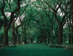 Sale a la luz la causa de la muerte de dos adolescentes en Jaén: qué hay detrás