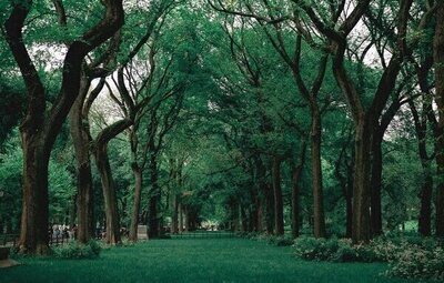 Sale a la luz la causa de la muerte de dos adolescentes en Jaén: qué hay detrás