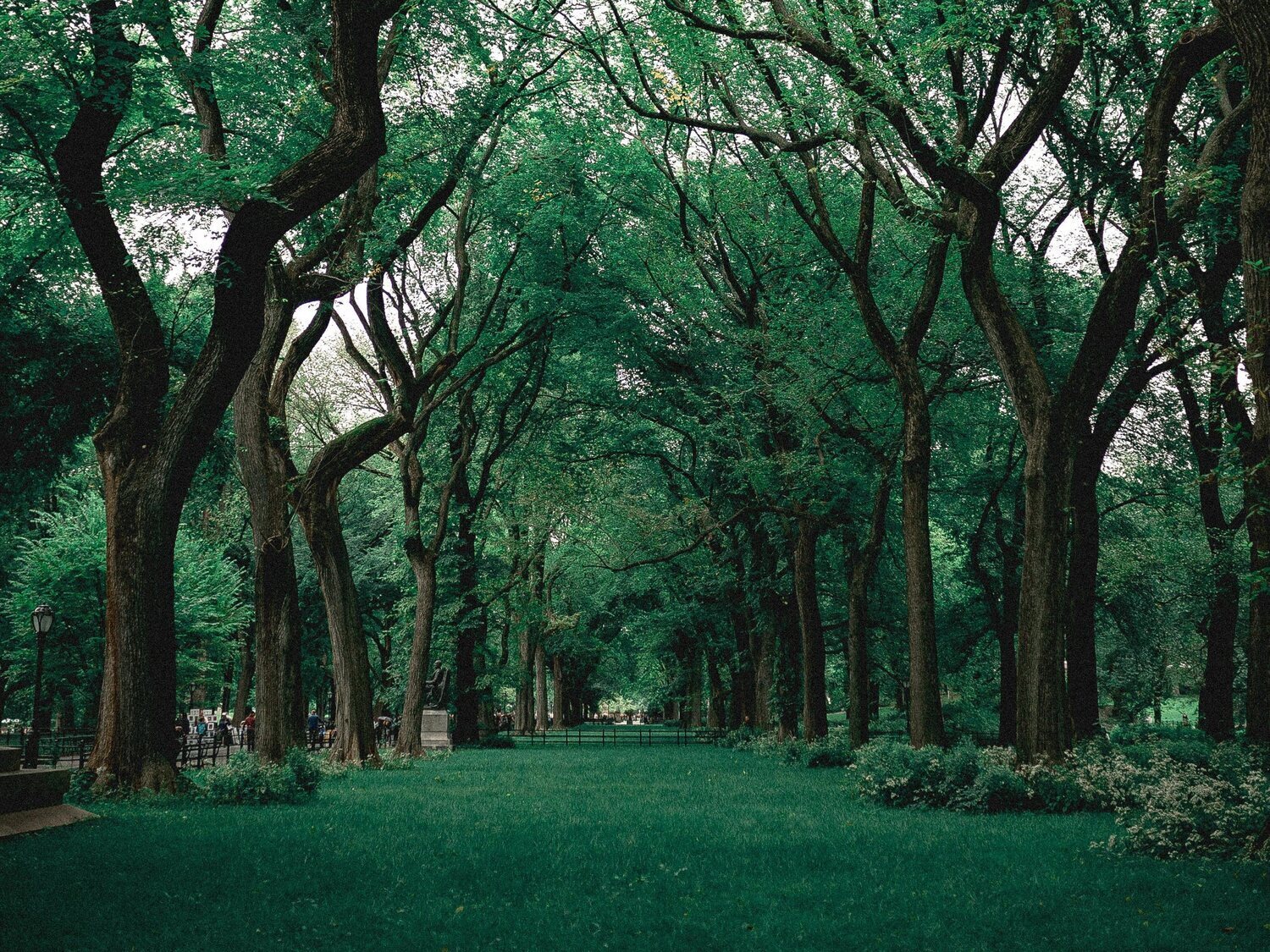 Sale a la luz la causa de la muerte de dos adolescentes en Jaén: qué hay detrás