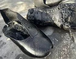 Salen a la luz más de 400 zapatos del siglo XIX en una playa de Reino Unido: teorías