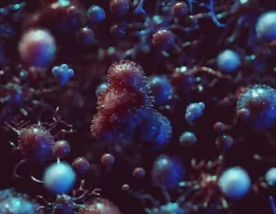 Hallan vida en un lugar insólito: sorpresa de un grupo de científicos