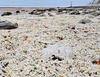 Hallan una playa repleta de cebollas y patatas: sorprendente explicación