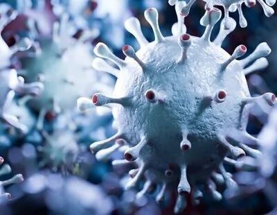 Alerta por brote del virus Nipah: India activa avisos y otros países refuerzan controles