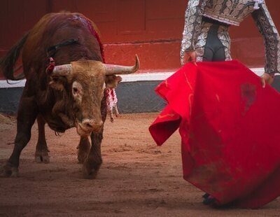 El Gobierno prepara una reforma para vetar a menores en espectáculos con violencia animal