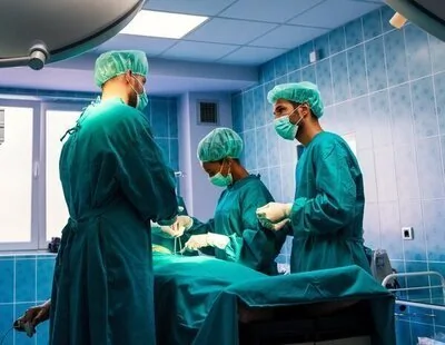 Un hígado de cerdo modificado y conectado desde el exterior consigue salvar a un paciente