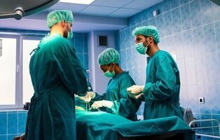 Un hígado de cerdo modificado y conectado desde el exterior consigue salvar a un paciente