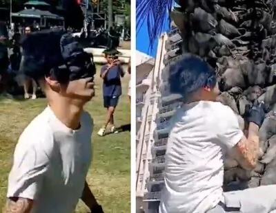 Qué son los Therians: llegan los jóvenes que se identifican con animales a España